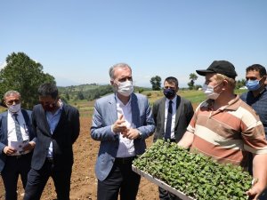 İnegöl’de ilk ekinezya ekimi gerçekleşti