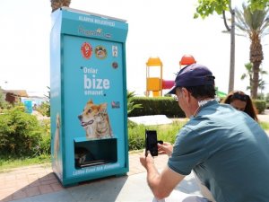 Alanya’da vatandaşlar 1 TL karşılığı sokak hayvanlarını besleyecek