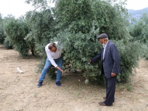 Kozan’da hasar tespit çalışmalarına başlandı