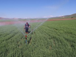 Erzincan’da sulama sezonu başladı