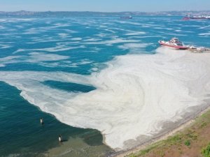 Yalova kıyılarında müsilaj görülmeye devam ediyor