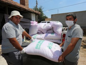Tarlaları yanan  çiftçilere tohumluk buğdayları dağıtıldı