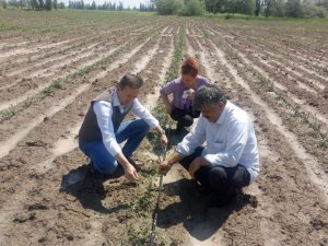 Dolu yağışında arazisi etkilenen çiftçiler hasar tespiti başvurusu yapabilecek