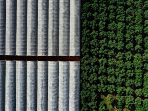 Sağlıklı Çevre Temiz Antalya  Fotoğraf Yarışması sonuçlandı