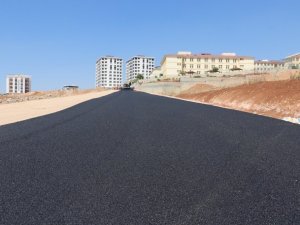 Siirt Belediyesi asfalt çalışmalarını sürdürüyor