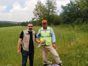 Kütahya’da yaralı bulunan kulaklı orman baykuşu tedavi altına alındı