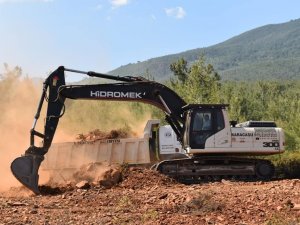 Kampçıların yeni merkezi Karacasu olacak