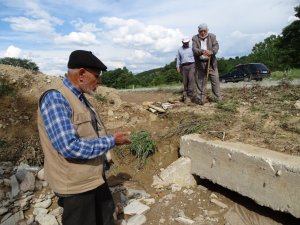 Tıkanan menfez yüzünden ekili arazileri su basıyor
