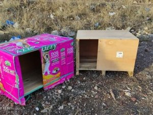 Bozuk para kasaları sokaktaki canlara yuva olmaya devam ediyor