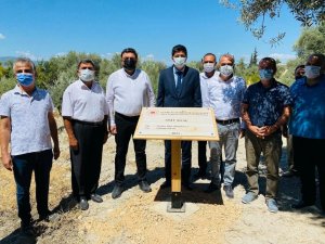 1300 yıllık anıt ağacına sahip Mut’a 3 anıt ağaç daha tescillendi