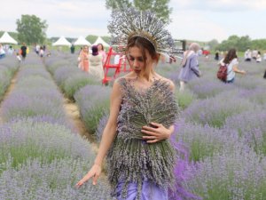 İstanbullulardan Edirne’deki lavanta etkinliğine yoğun ilgi