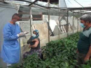 Üretici çift için 50 kilometre yol gidip serada aşı yaptılar