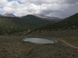Büyükşehir 15 bin koyunu Erciyes’ten eriyen kar sularıyla rahatlattı