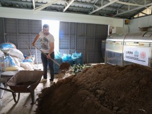Sebze ve meyve atıklarından üretilen gübre yerli tohumlarda kullanılıyor