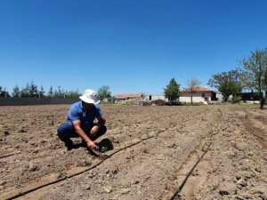 TÜDKİYEB Genel Başkanı Çelik’ten Toprak Bayramı’yla ilgili açıklama