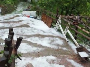 Bursa’da kestane ağaçları doludan zarar gördü