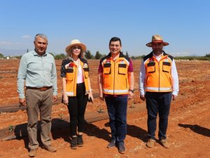 Atatürk Orman Çiftliği’ne karpuz ve kavun ekildi