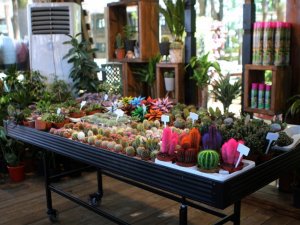 Bahçem satış merkezinin açılışı yapılıyor