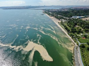 Deniz salyası bu kez Bakırköy kıyılarını sardı