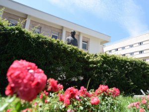 Altındağ Belediyesinden hastanelere bakım ve peyzaj çalışması