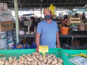 Datça’da patates üreticisi dertli