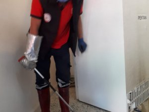 Tarsus’ta eve giren yılanı itfaiye ekipleri çıkarttı