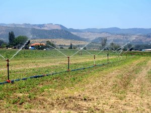 Manisa’da 2021 Sulama Sezonu başladı