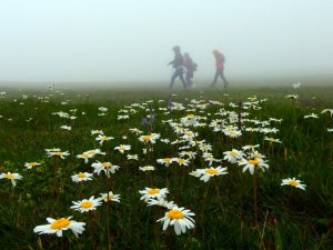 Aylar sonra ciğerlerini temiz havayla doldurdular