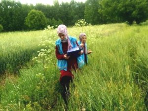 Hisarcık’ta yem bitkisi ekili alanlarda kontrol yapılıyor