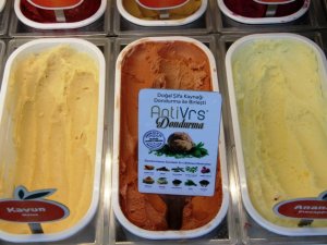 10 bitkiden üretilen ’Anti-Vrs’ dondurma ilgi odağı oldu