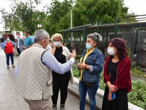 Ankara’da hayvanseverler ve belediye arasında iş birliği