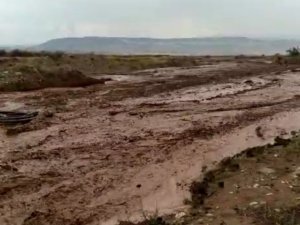 Nallıhan’da dereler taştı, tarım arazileri sele teslim oldu