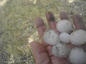 Tokat’a ceviz büyüklüğünde dolu yağdı