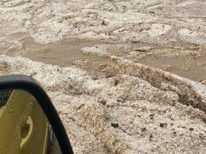 Dolu yağışı, yüzlerce dekar ekili alana zarar verdi