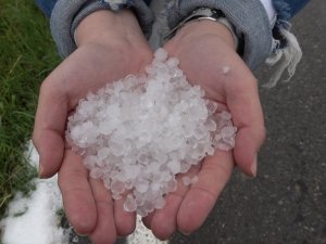 5 dakikada buğday tarlaları beyaza büründü