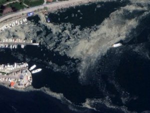 İstanbul’daki müsilaj uzaydan görüntülendi