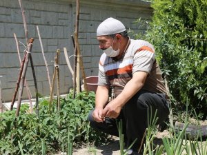Ereğli Belediyesi tarafından dağıtılan fideler mahsullerini başladı