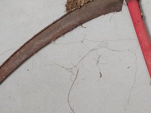 Kırlangıç tırpana yuva yaptı