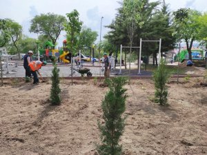 Keçiören’deki parklarda yeşil alan uygulaması