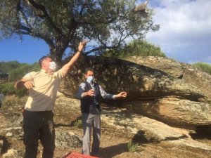 Aydın’da yüzlerce keklik doğaya salındı