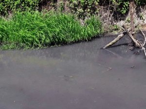 8 mahallenin çevresinden geçen dere, kirliliği ile endişelendiriyor