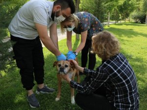 Odunpazarı Belediyesi hayvanseverlerle iş birliğini sürdürüyor