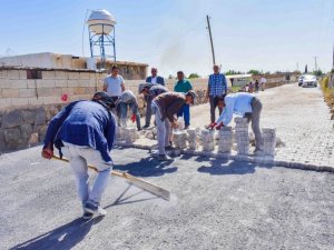 Ceylanpınar kırsalında yüzler gülüyor