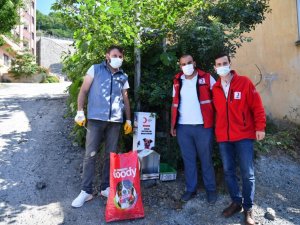 Başkan Genç’ten “Sokak hayvanlarını unutmayın” uyarısı