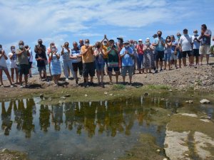 Dikili’de mandıra kirliliği isyanı