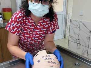 Büyükşehir ekipleri Kaplumbağayı hayatta bağladı