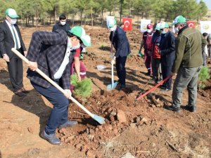 Kilis’e 17 yılda 10 milyondan fazla ağaç dikildi
