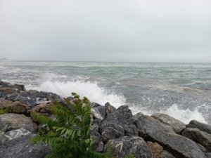 Marmara’da lodos, müsilajı kıyıya itti