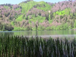 Korona yasaklarının ardından Borçka-Karagöl’e yoğun ilgi