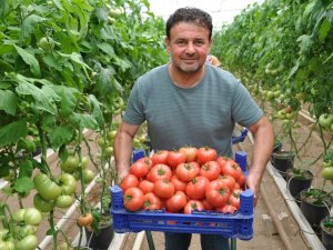Eynal domatesine coğrafi işaret başvurusu